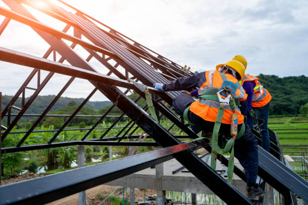 Roof Gutter Cleaning in Emmaus, PA
